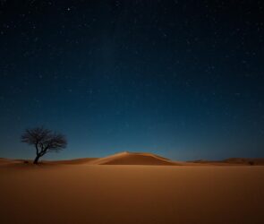 Namibian Nights: Stargazing in the Desert