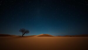 Namibian Nights: Stargazing in the Desert