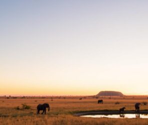 Tanzania's Hidden Gems: Exploring the Serengeti's Lesser-Known Spots